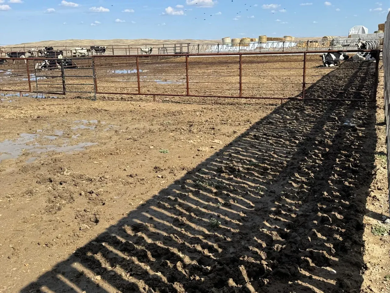 Texas Gates — example of our work